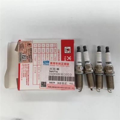 JAC J3 J5 J6 S3 VVT Μηχανής Σπινθήρα 10 σετ Μέρη αυτοκινήτου με αριθμό OE 1026080GG010