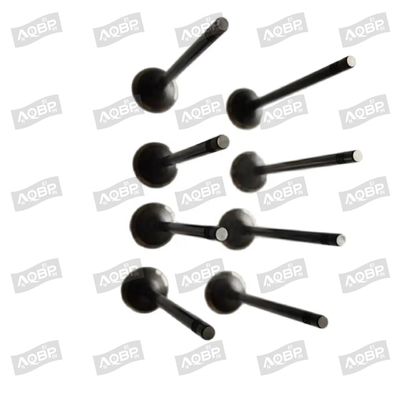 Shuailing T6 15/04- OE αριθμός 1003014FD040 Βαλβίδα εισόδου για αυτοκινητοβιομηχανικά εξαρτήματα