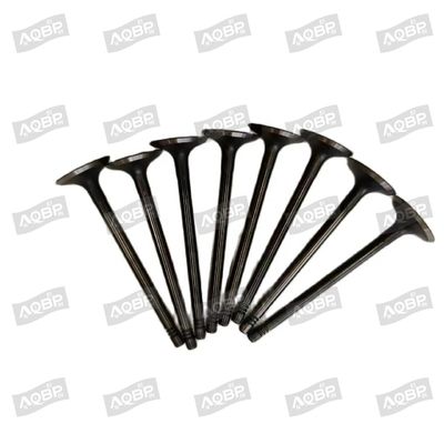 Shuailing T6 15/04- OE αριθμός 1003014FD040 Βαλβίδα εισόδου για αυτοκινητοβιομηχανικά εξαρτήματα