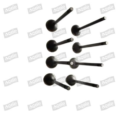 Shuailing T6 15/04- OE αριθμός 1003014FD040 Βαλβίδα εισόδου για αυτοκινητοβιομηχανικά εξαρτήματα