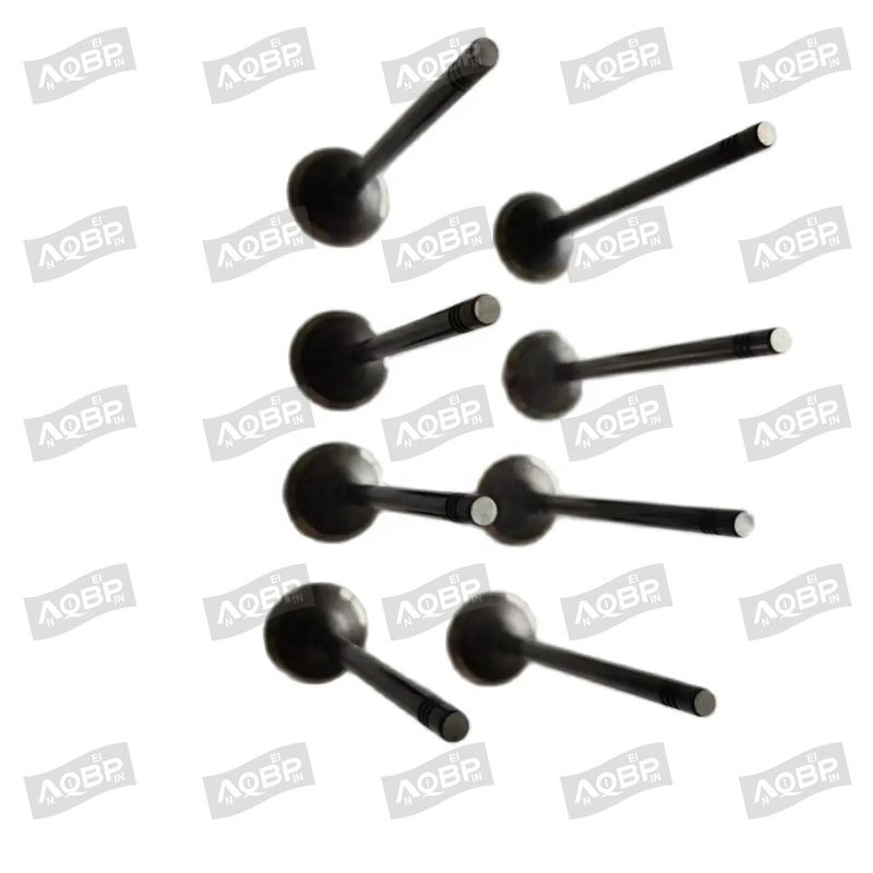 Shuailing T6 15/04- OE αριθμός 1003014FD040 Βαλβίδα εισόδου για αυτοκινητοβιομηχανικά εξαρτήματα